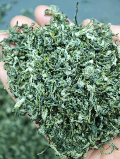 镇江茶